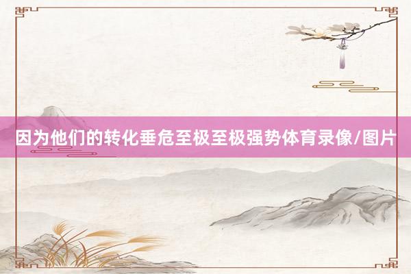 因为他们的转化垂危至极至极强势体育录像/图片