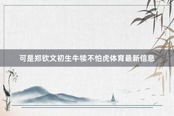 可是郑钦文初生牛犊不怕虎体育最新信息