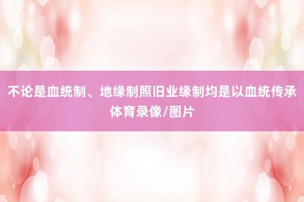 不论是血统制、地缘制照旧业缘制均是以血统传承体育录像/图片