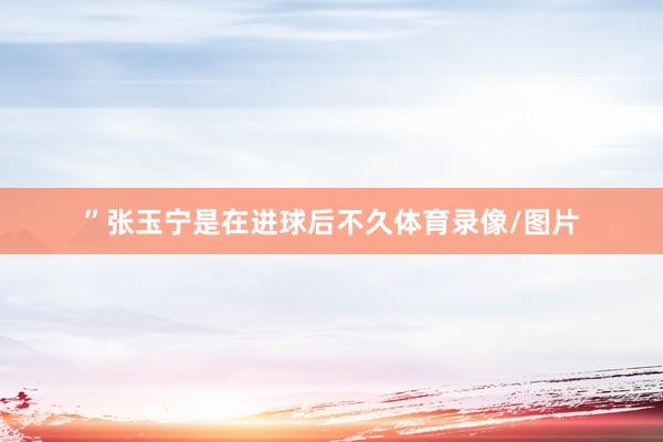 ”张玉宁是在进球后不久体育录像/图片