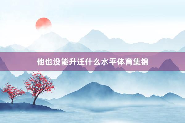 他也没能升迁什么水平体育集锦
