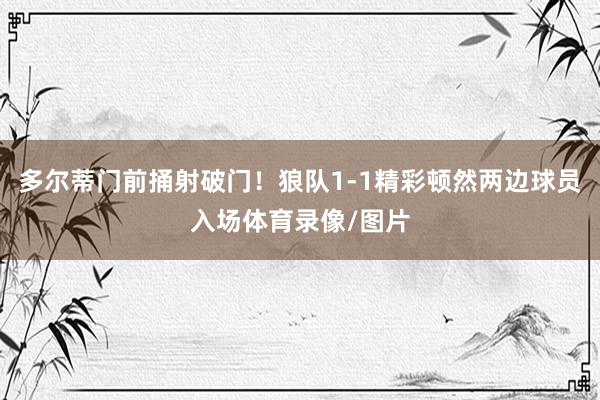 多尔蒂门前捅射破门!狼队1-1精彩顿然两边球员入场体育录像/图片