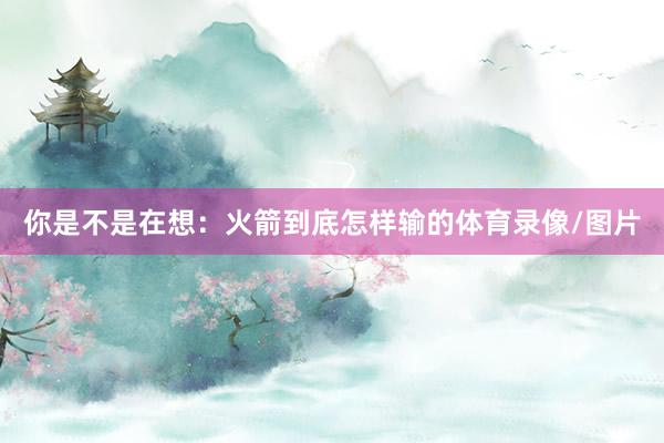 你是不是在想：火箭到底怎样输的体育录像/图片