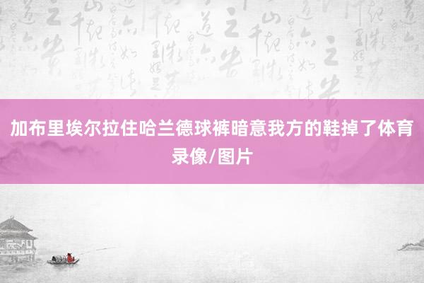 加布里埃尔拉住哈兰德球裤暗意我方的鞋掉了体育录像/图片