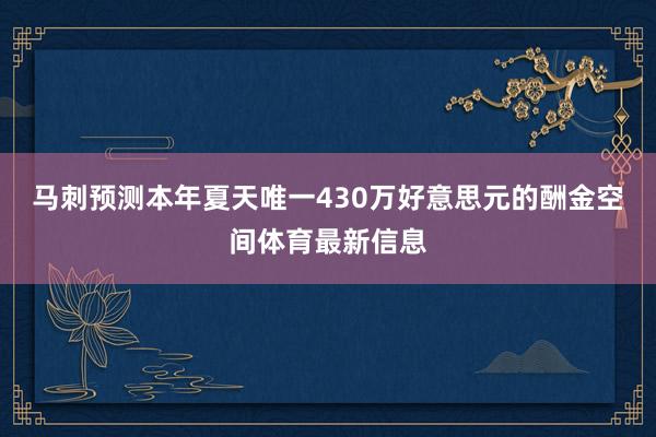 马刺预测本年夏天唯一430万好意思元的酬金空间体育最新信息