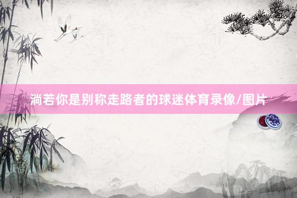 淌若你是别称走路者的球迷体育录像/图片