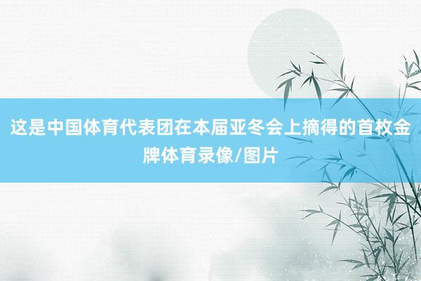 这是中国体育代表团在本届亚冬会上摘得的首枚金牌体育录像/图片