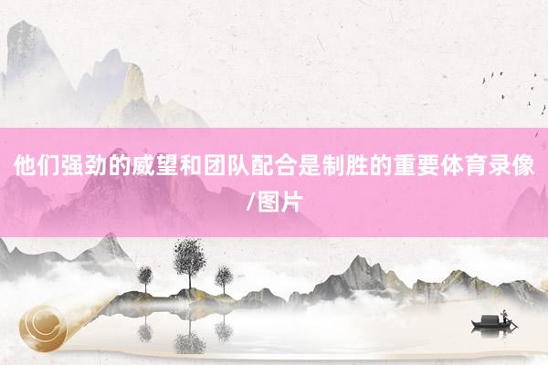 他们强劲的威望和团队配合是制胜的重要体育录像/图片