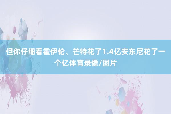 但你仔细看霍伊伦、芒特花了1.4亿安东尼花了一个亿体育录像/图片