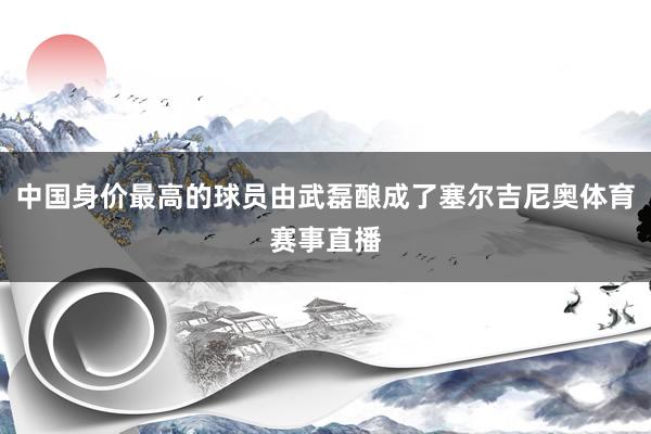 中国身价最高的球员由武磊酿成了塞尔吉尼奥体育赛事直播