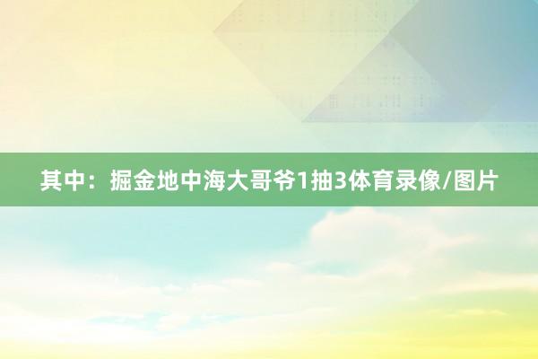 其中：掘金地中海大哥爷1抽3体育录像/图片