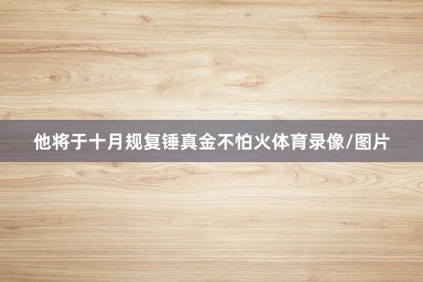 他将于十月规复锤真金不怕火体育录像/图片