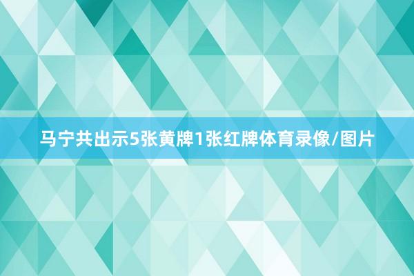 马宁共出示5张黄牌1张红牌体育录像/图片