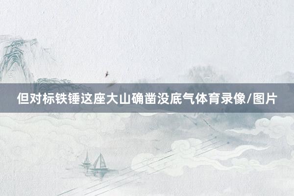 但对标铁锤这座大山确凿没底气体育录像/图片
