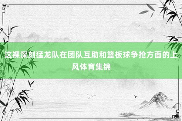 这裸深刻猛龙队在团队互助和篮板球争抢方面的上风体育集锦