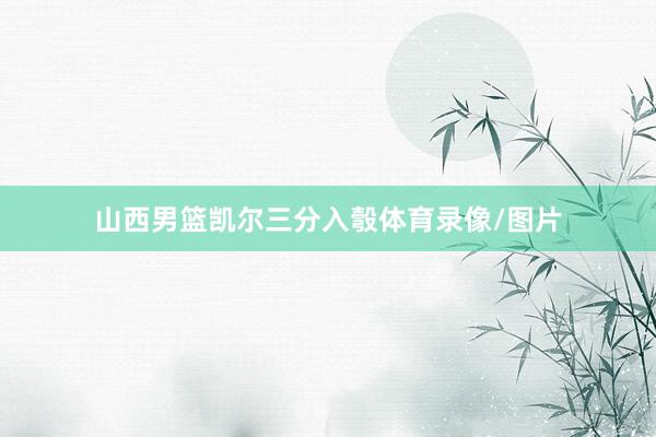 山西男篮凯尔三分入彀体育录像/图片