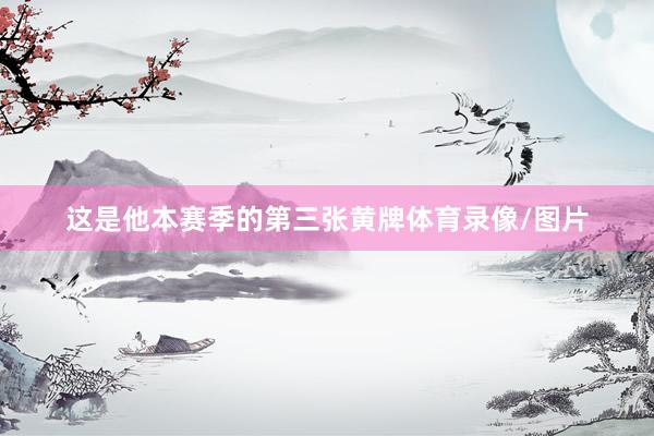 这是他本赛季的第三张黄牌体育录像/图片