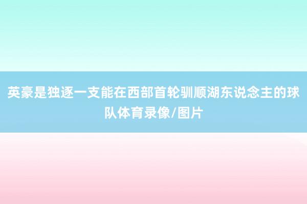 英豪是独逐一支能在西部首轮驯顺湖东说念主的球队体育录像/图片
