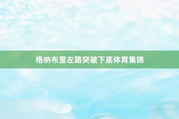 格纳布里左路突破下底体育集锦