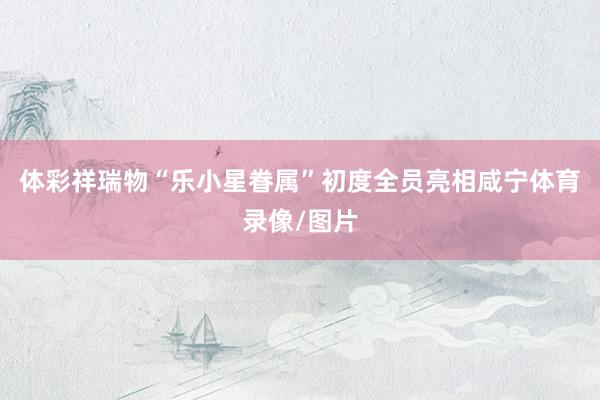 体彩祥瑞物“乐小星眷属”初度全员亮相咸宁体育录像/图片