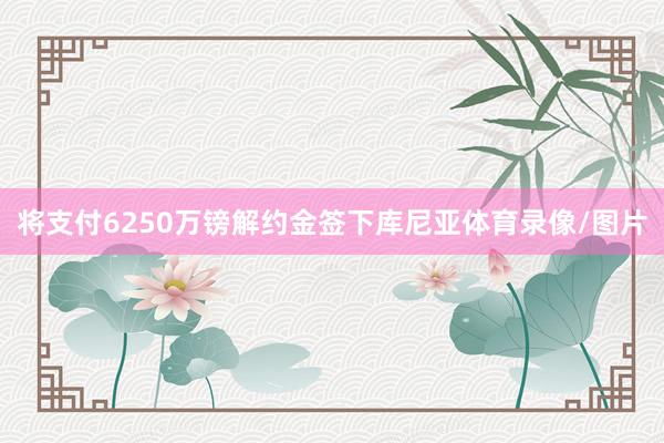 将支付6250万镑解约金签下库尼亚体育录像/图片
