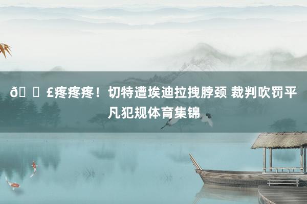 😣疼疼疼！切特遭埃迪拉拽脖颈 裁判吹罚平凡犯规体育集锦