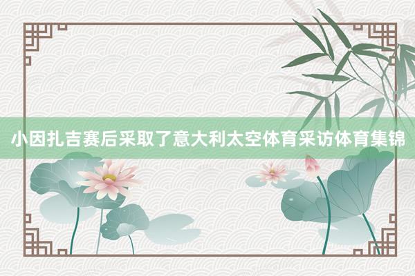 小因扎吉赛后采取了意大利太空体育采访体育集锦
