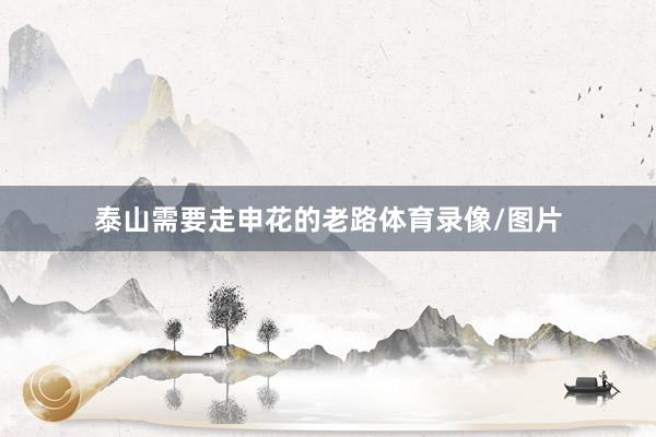 泰山需要走申花的老路体育录像/图片