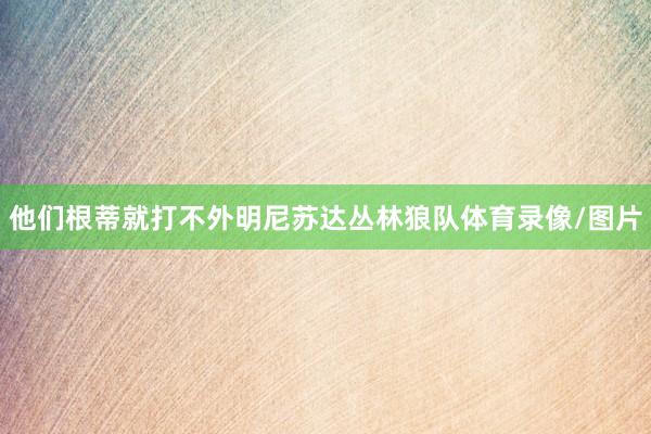 他们根蒂就打不外明尼苏达丛林狼队体育录像/图片