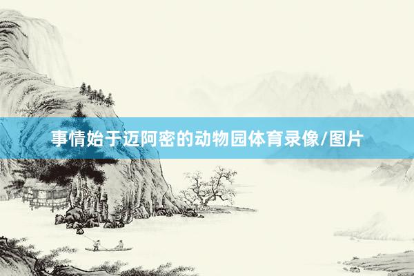 事情始于迈阿密的动物园体育录像/图片