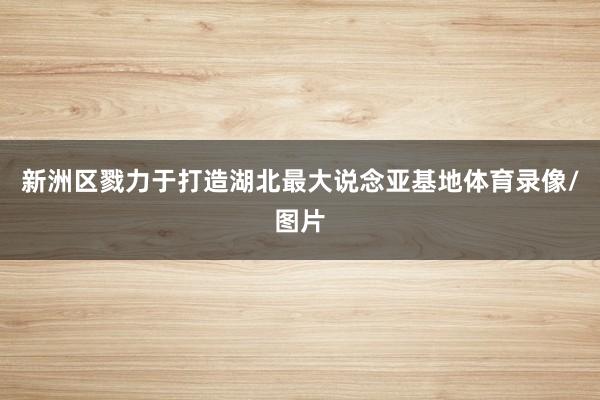 新洲区戮力于打造湖北最大说念亚基地体育录像/图片