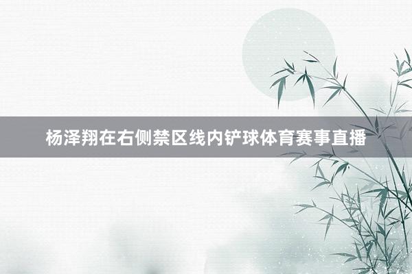 杨泽翔在右侧禁区线内铲球体育赛事直播