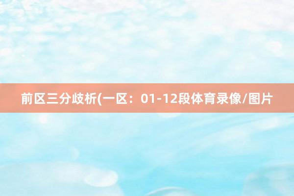 前区三分歧析(一区：01-12段体育录像/图片