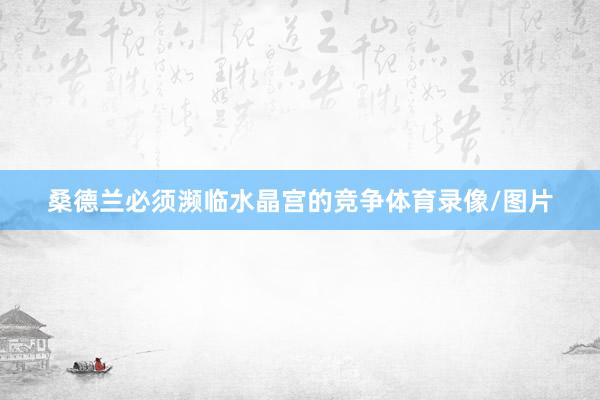 桑德兰必须濒临水晶宫的竞争体育录像/图片