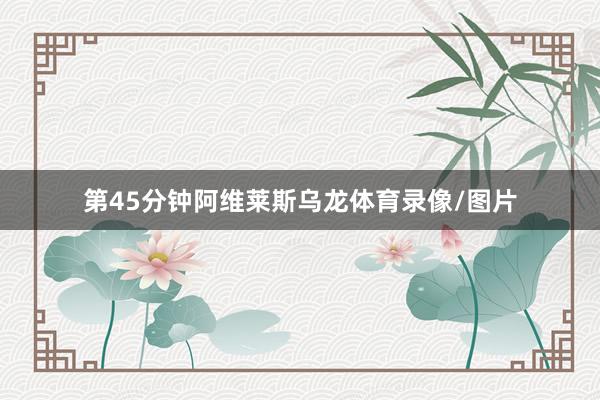 第45分钟阿维莱斯乌龙体育录像/图片