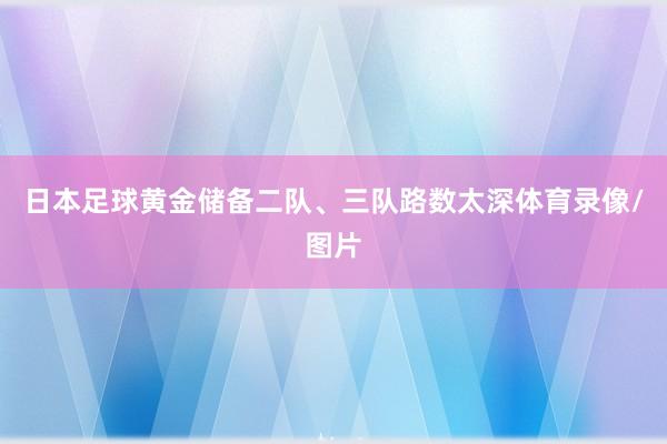 日本足球黄金储备二队、三队路数太深体育录像/图片