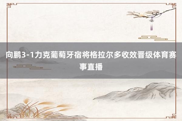 向鹏3-1力克葡萄牙宿将格拉尔多收效晋级体育赛事直播