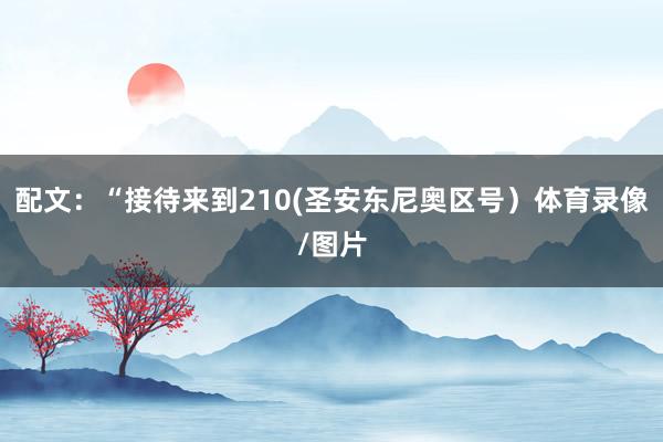配文:“接待来到210(圣安东尼奥区号)体育录像/图片