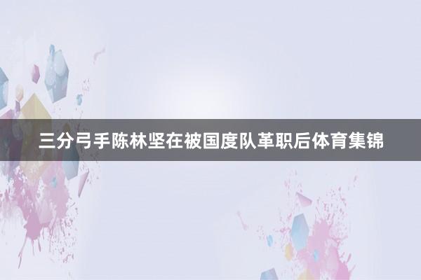 三分弓手陈林坚在被国度队革职后体育集锦