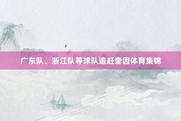 广东队、浙江队等球队追赶奎因体育集锦