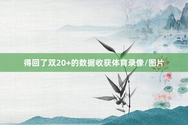 得回了双20+的数据收获体育录像/图片