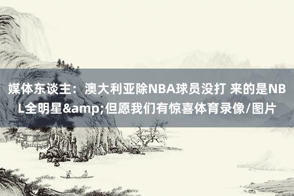 媒体东谈主：澳大利亚除NBA球员没打 来的是NBL全明星&但愿我们有惊喜体育录像/图片