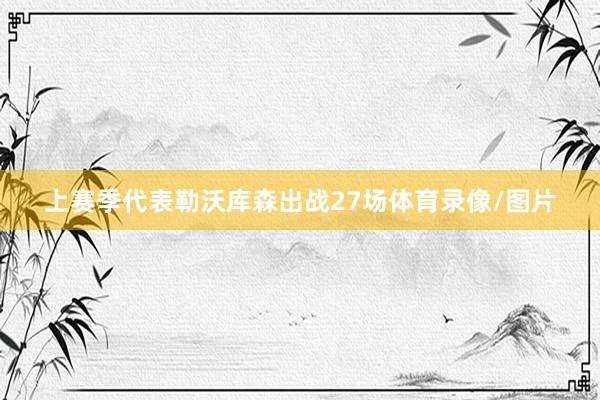 上赛季代表勒沃库森出战27场体育录像/图片