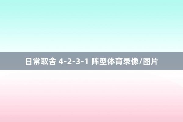 日常取舍 4-2-3-1 阵型体育录像/图片
