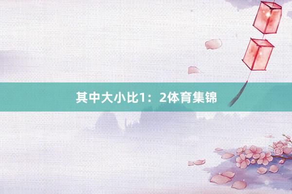 其中大小比1:2体育集锦