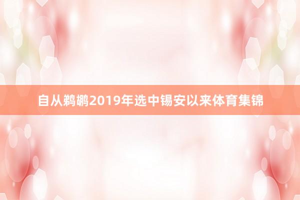 自从鹈鹕2019年选中锡安以来体育集锦