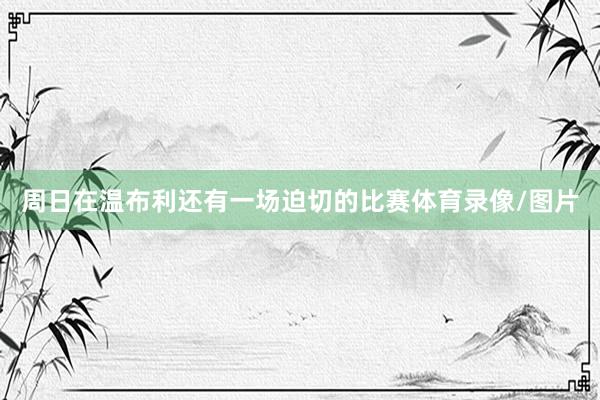 周日在温布利还有一场迫切的比赛体育录像/图片