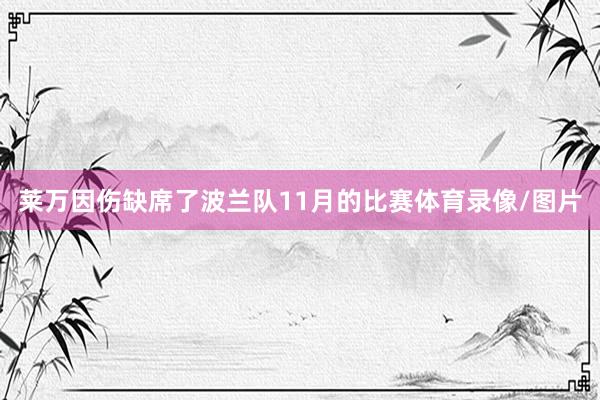莱万因伤缺席了波兰队11月的比赛体育录像/图片