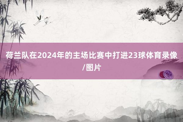 荷兰队在2024年的主场比赛中打进23球体育录像/图片