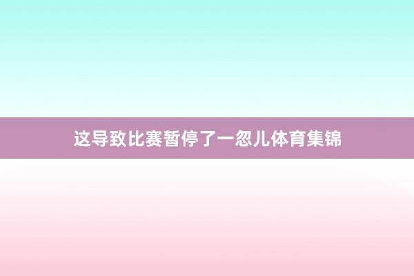这导致比赛暂停了一忽儿体育集锦